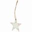 Samen Ornament Boster (star) (Art.-Nr. CA129174)