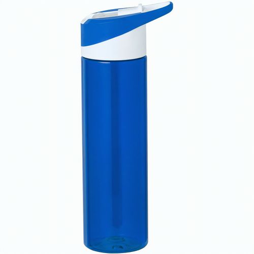 Trinkflasche Laudon (Art.-Nr. CA159042) - RPET-Flasche mit 600 ml Fassungsvermöge...