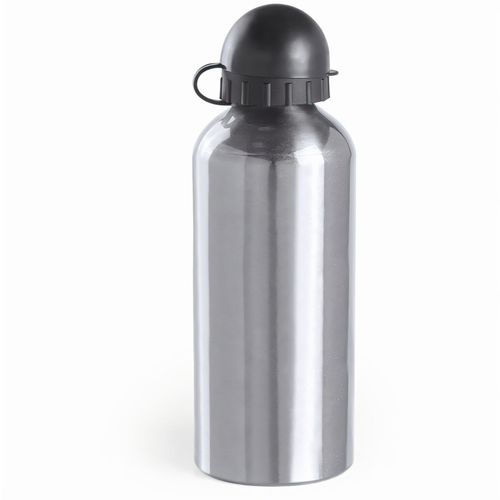 Trinkflasche Barrister (Art.-Nr. CA243916) - Trinkflasche mit 650 ml Fassungsvermöge...