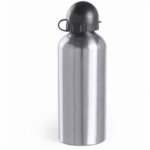 Trinkflasche Barrister (silber) (Art.-Nr. CA243916)