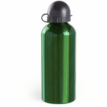 Trinkflasche Barrister (grün) (Art.-Nr. CA355697)