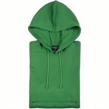 Erwachsene Technische Sweatshirt Theon (grün) (Art.-Nr. CA459298)