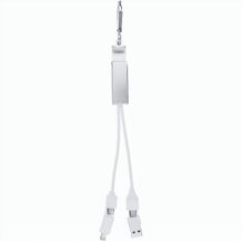 Ladegerät USB Hub Leony (silber) (Art.-Nr. CA548626)