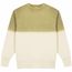 Erwachsene Sweatshirt Truyi (dunkelgrün) (Art.-Nr. CA571593)