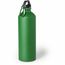 Trinkflasche Delby (grün) (Art.-Nr. CA636015)