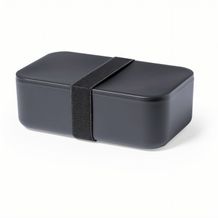 Lunch Box Sandix (Grau) (Art.-Nr. CA836145)