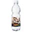500 ml PromoWater - Mineralwasser zur Fußball Europameisterschaft, still - Eco Papier-Etikett (Art.-Nr. CA232504)
