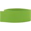 BURTON. Hutband aus 100% Polyester (hellgrün) (Art.-Nr. CA656892)
