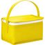 IZMIR. Kühltasche 3l aus Vliesstoff (80 g/m²) (gelb) (Art.-Nr. CA733028)
