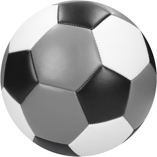Produktabbildung Fußball "Champion" Fußball "Champion" (Bild 1)