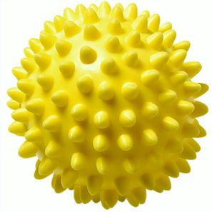 Wellness-Ball "Igel"