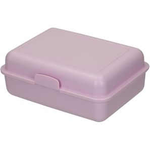 Bio-Vorratsdose "School-Box" groß