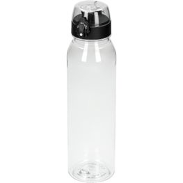 Trinkflasche Active "Oasis" 650 ml