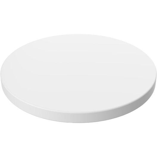 Produktabbildung Einkaufswagenchip ohne Loch Einkaufswagenchip ohne Loch (Bild 1)