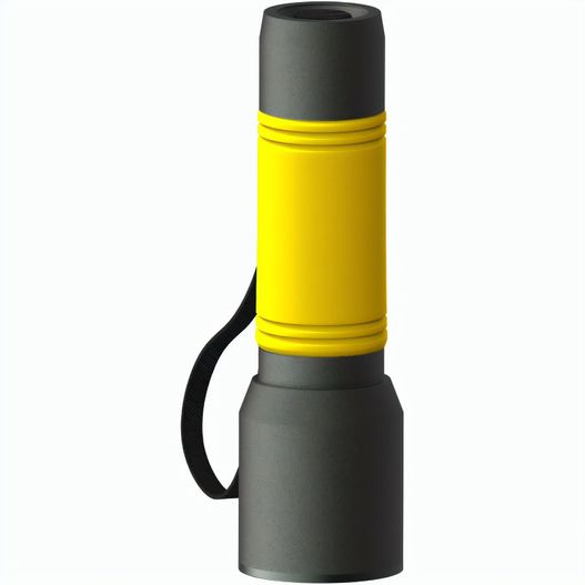 Produktabbildung myFLASH 300 myFLASH 300 (Bild 1)
