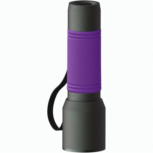 Produktabbildung myFLASH 300 myFLASH 300 (Bild 1)