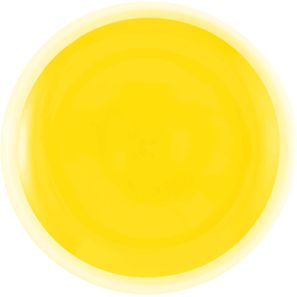 Flicka Fangballspiel