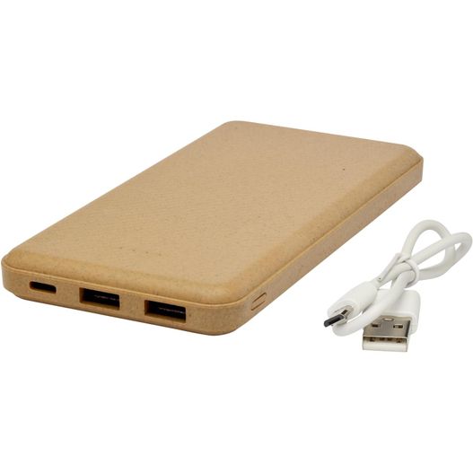 Eco 10.000 mAh Powerbank (Bild 1)