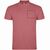 Star Poloshirt für Herren (Bild 4)