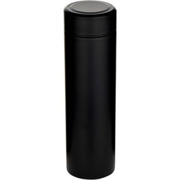 Taylor 450 ml Doppelwand Isolierflasche aus Edelstahl mit Teesieb