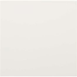 Hey Pots aluminium planted pot - cactus