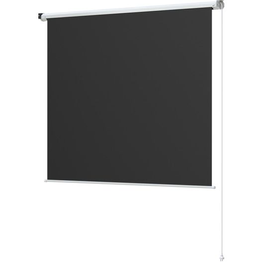 Prixton Cinema Max 100" Beamer-Leinwand (Bild 1)