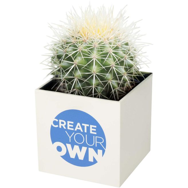 Hey Pots Blumentopf aus Aluminium, Kaktus