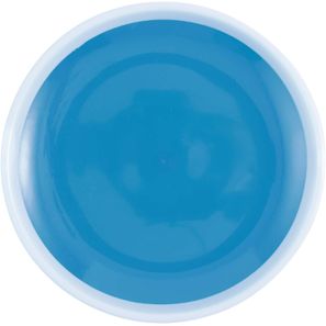 Flicka Fangballspiel