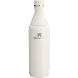 Stanley 600 ml All Day Slim Flasche