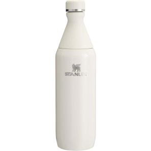 Stanley 600 ml All Day Slim Flasche