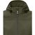 Langley Softshelljacke für Damen (Bild 4)