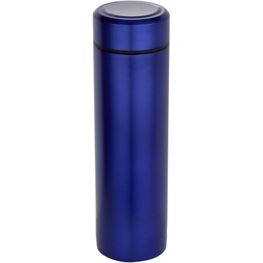 Taylor 450 ml Doppelwand Isolierflasche aus Edelstahl mit Teesieb