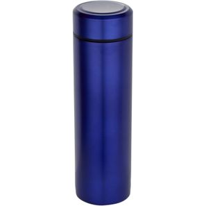 Taylor 450 ml Doppelwand Isolierflasche aus Edelstahl mit Teesieb