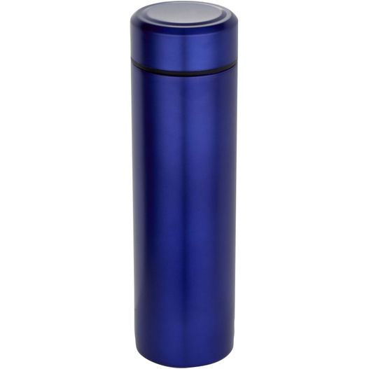 Taylor 450 ml Doppelwand Isolierflasche aus Edelstahl mit Teesieb (Bild 1)