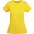 Breda T-Shirt aus Bio-Baumwolle für Damen (Bild 4)