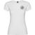 Jamaika T-Shirt für Damen (Bild 3)