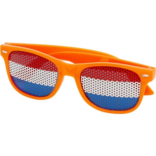 Vision Sonnenbrille (Bild 1)