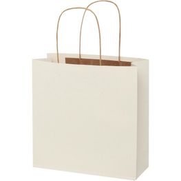 Papiertüte 150 g/m² aus landwirtschaftlichen Reststoffen mit gedrehten Griffen – 24 × 9 × 24 cm