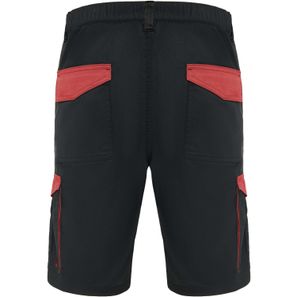 Tahoe Arbeitsshorts, 250 g/m2