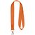 Impey Lanyard mit praktischem Haken (Bild 2)