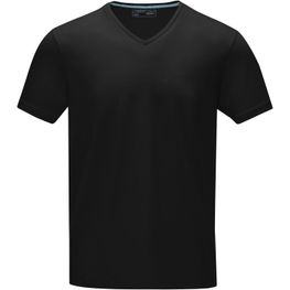 Kawartha T-Shirt für Herren mit V-Ausschnitt