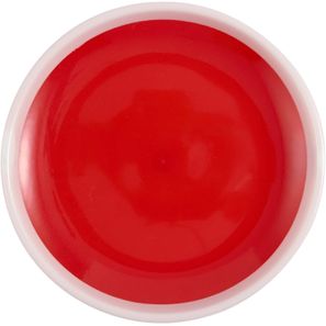 Flicka Fangballspiel