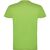 Beagle T-Shirt für Kinder (Bild 1)