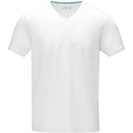 Kawartha T-Shirt für Herren mit V-Ausschnitt
