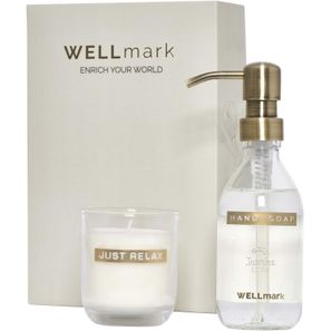 Wellmark Discovery 250 ml Handseifenspender und 150 g Duftkerze im Set