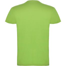 Beagle T-Shirt für Kinder