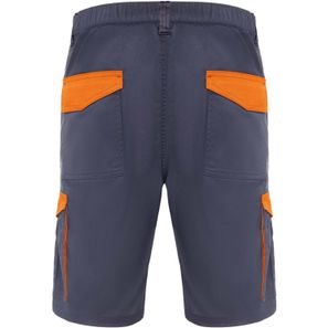 Tahoe Arbeitsshorts, 250 g/m2