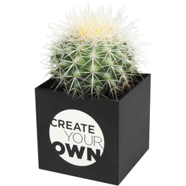 Hey Pots Blumentopf aus Aluminium, Kaktus