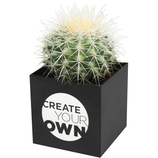 Hey Pots Blumentopf aus Aluminium, Kaktus (Bild 1)