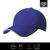 Heavy Brushed Ultimate Sandwich Cap
